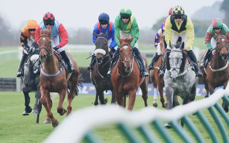 Horse racing in MostPlay: register and participate.